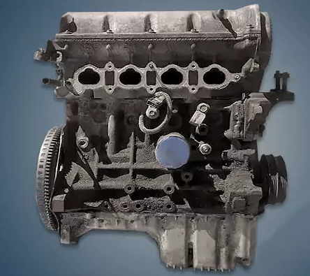 Engine Kia T8D Engine Kia T8D - Engine Kia T8D