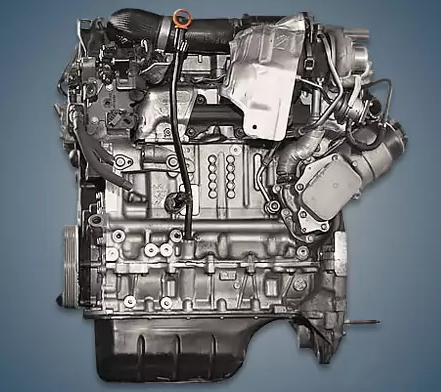Engine Peugeot DV4C Engine Peugeot DV4C - Engine Peugeot DV4C