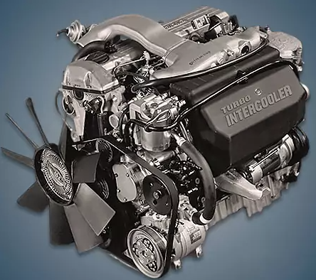 Engine SsangYong D29DT - Engine SsangYong D29DT