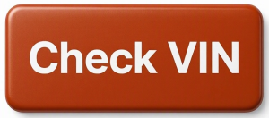 Check VIN 300x132 - Car engines guide